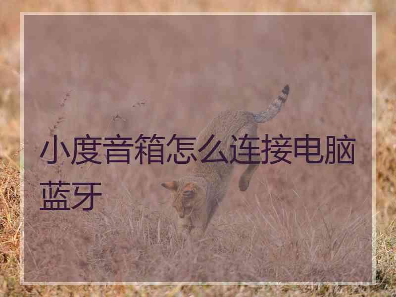 小度音箱怎么连接电脑蓝牙