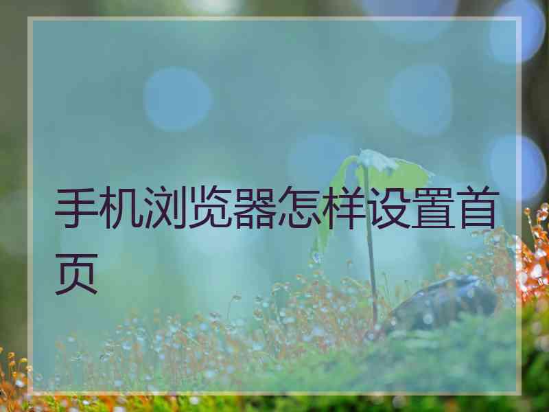 手机浏览器怎样设置首页