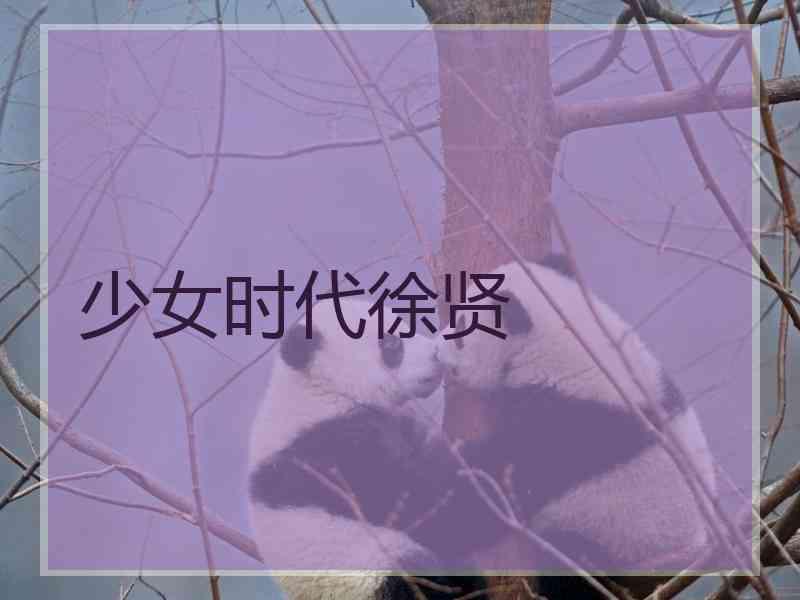 少女时代徐贤