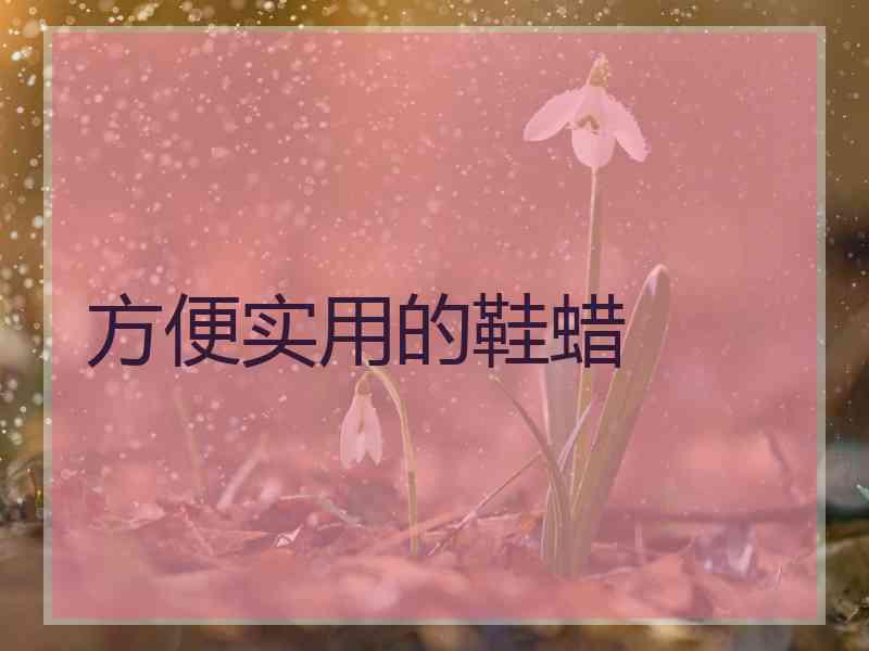 方便实用的鞋蜡