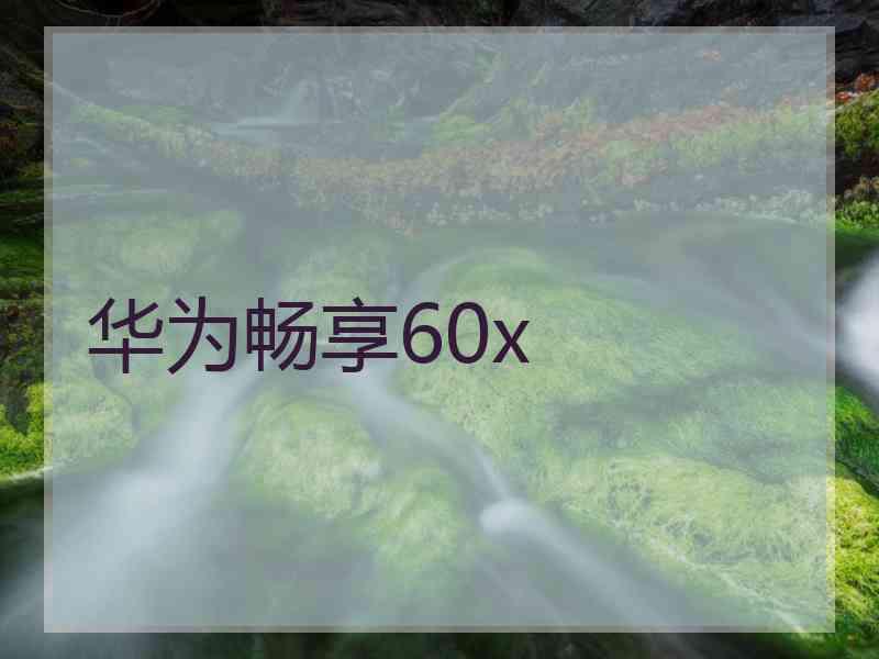 华为畅享60x