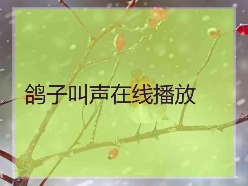 鸽子叫声在线播放