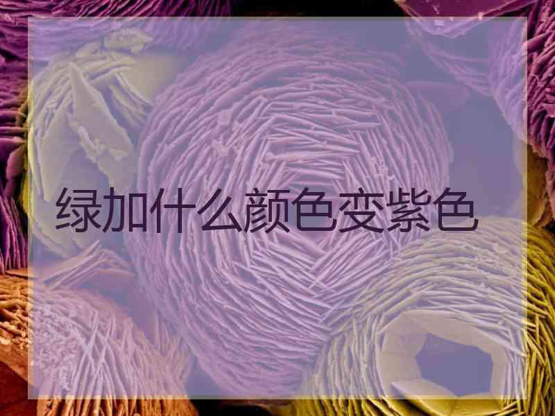 绿加什么颜色变紫色