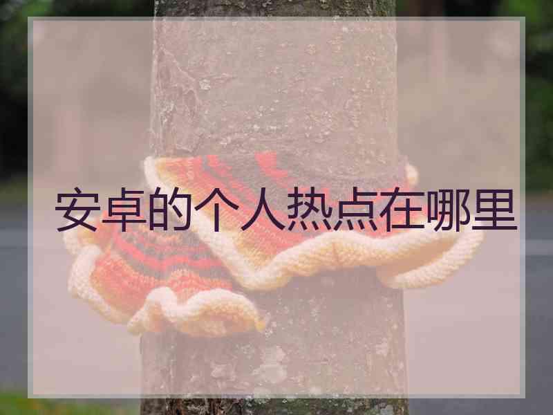 安卓的个人热点在哪里