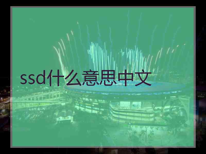 ssd什么意思中文
