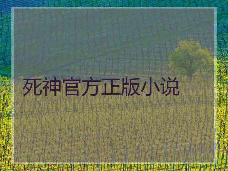 死神官方正版小说