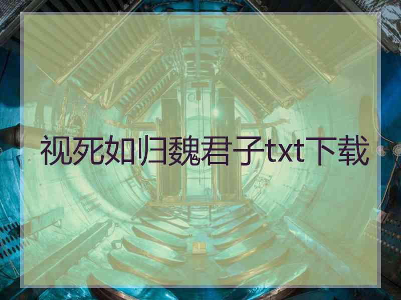 视死如归魏君子txt下载