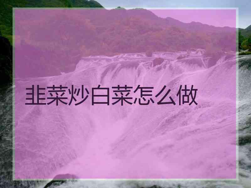 韭菜炒白菜怎么做