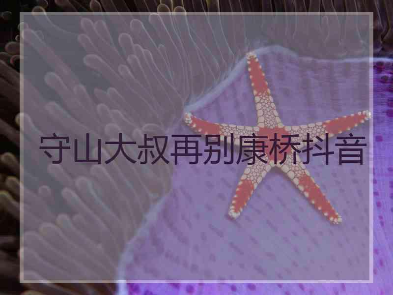 守山大叔再别康桥抖音