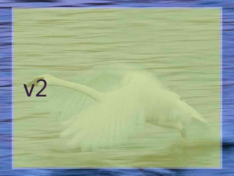 v2