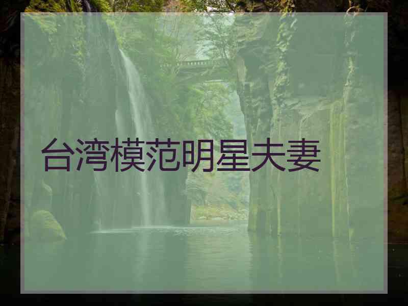 台湾模范明星夫妻