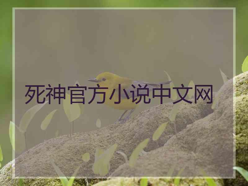 死神官方小说中文网