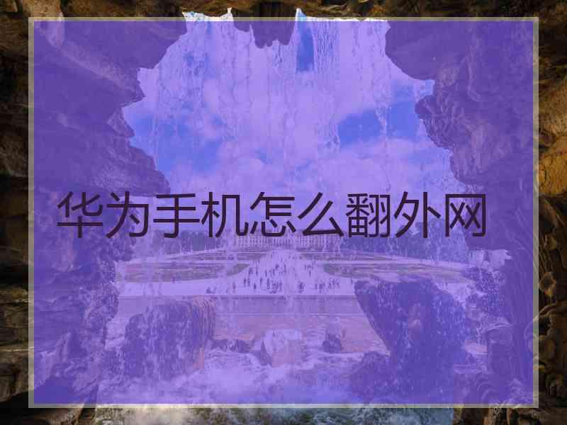 华为手机怎么翻外网