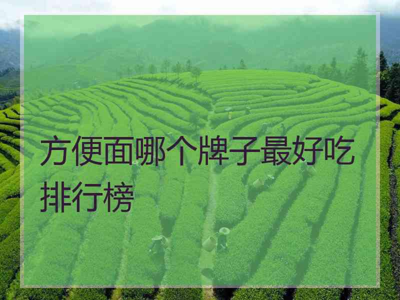 方便面哪个牌子最好吃排行榜