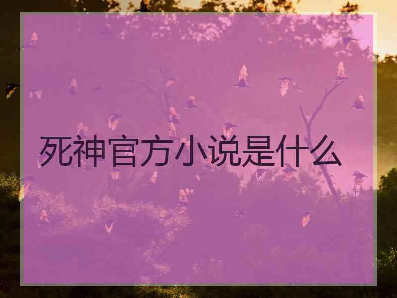 死神官方小说是什么