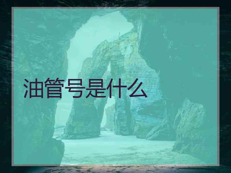 油管号是什么