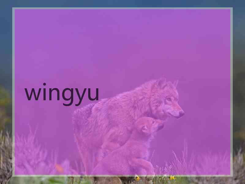 wingyu