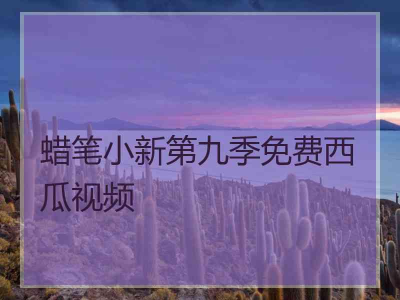 蜡笔小新第九季免费西瓜视频