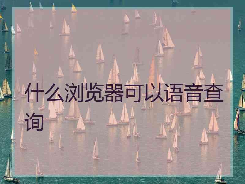 什么浏览器可以语音查询