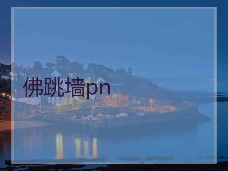 佛跳墙pn