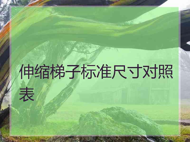 伸缩梯子标准尺寸对照表