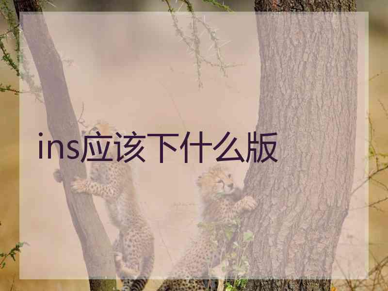 ins应该下什么版