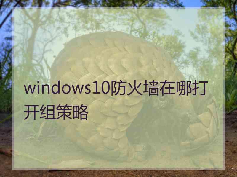windows10防火墙在哪打开组策略