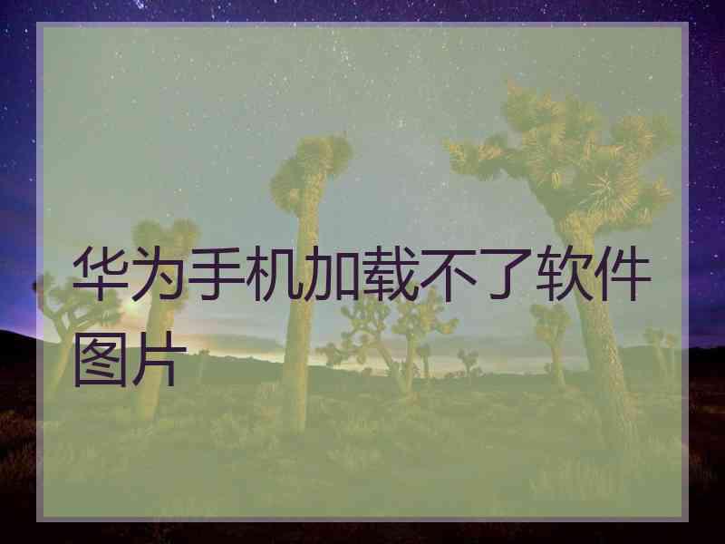 华为手机加载不了软件图片