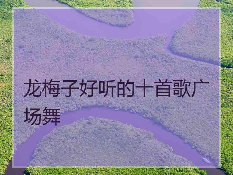 龙梅子好听的十首歌广场舞