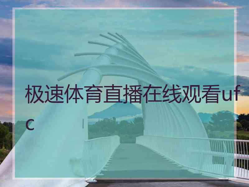 极速体育直播在线观看ufc