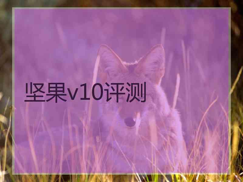 坚果v10评测