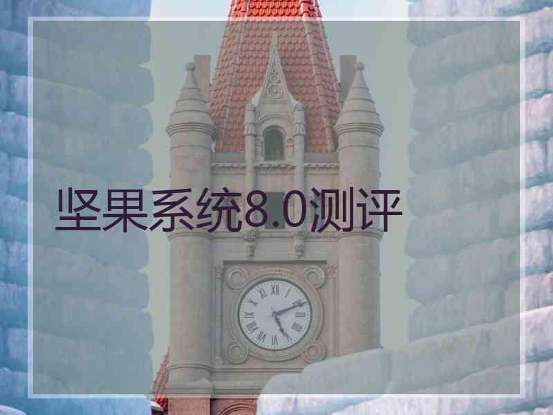 坚果系统8.0测评