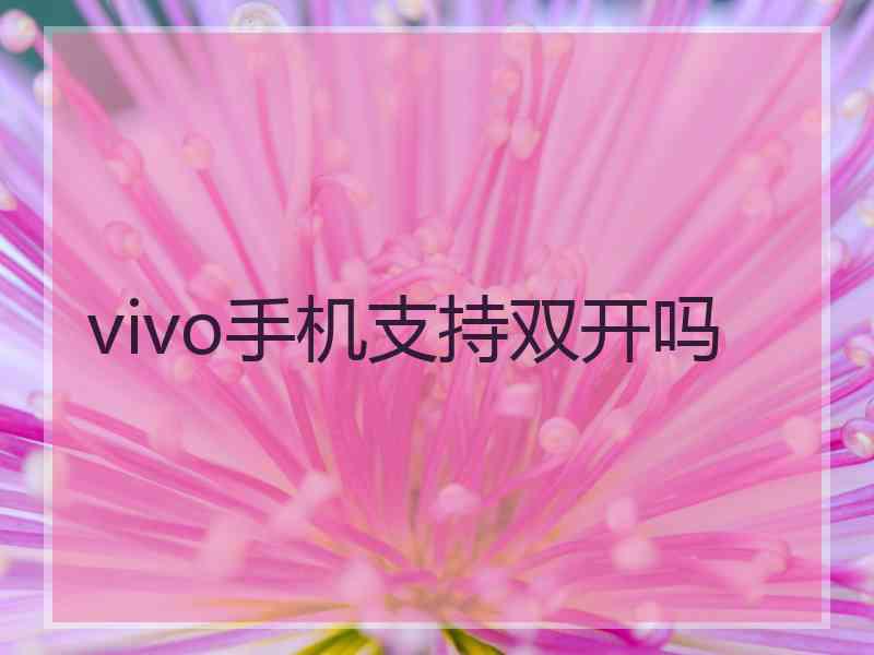 vivo手机支持双开吗