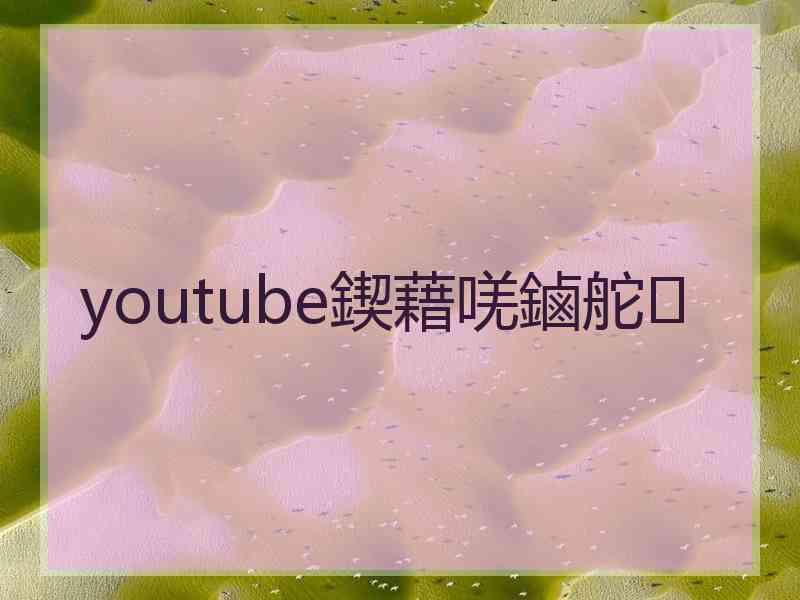 youtube鍥藉唴鏀舵