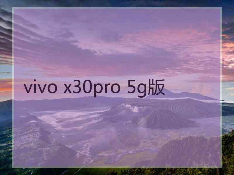vivo x30pro 5g版