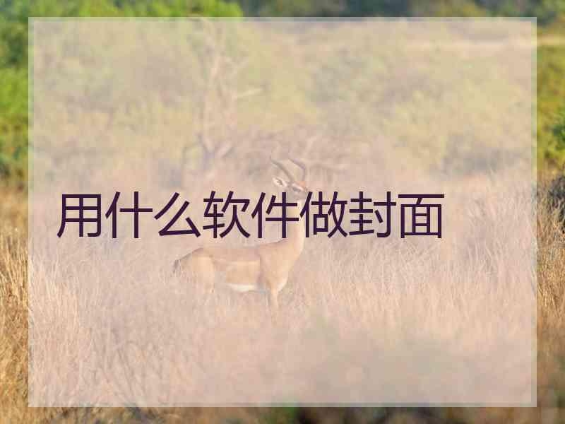 用什么软件做封面