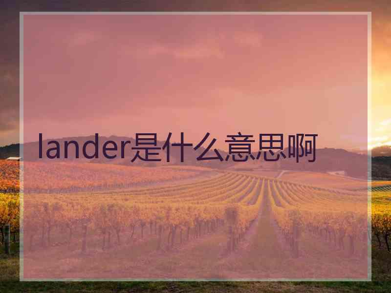 lander是什么意思啊
