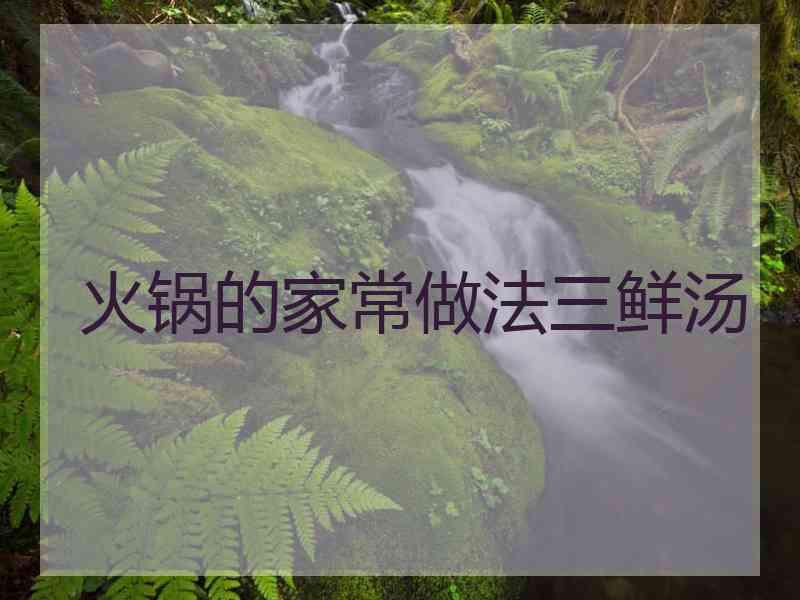 火锅的家常做法三鲜汤