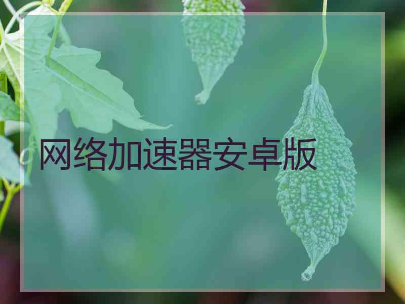 网络加速器安卓版
