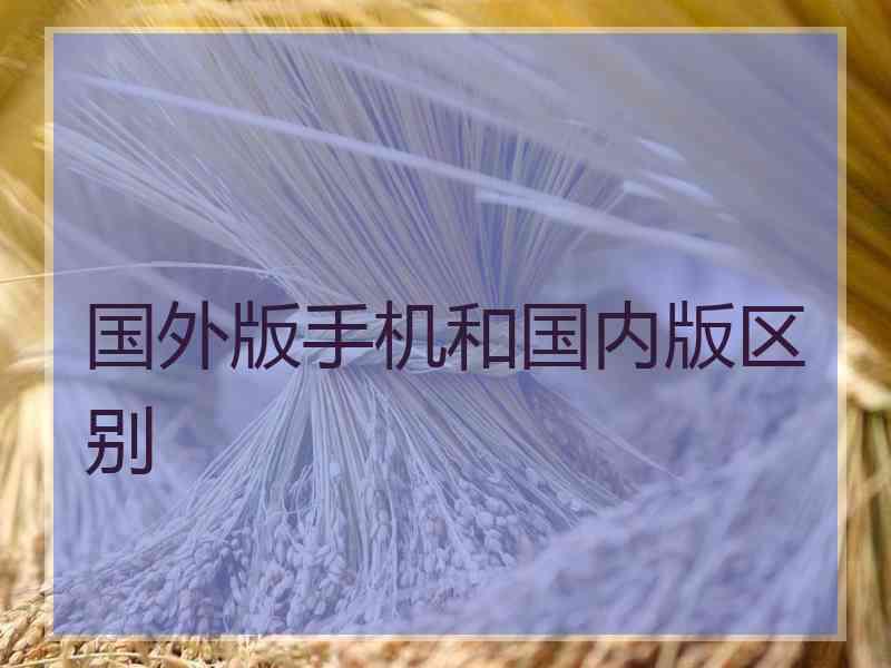 国外版手机和国内版区别