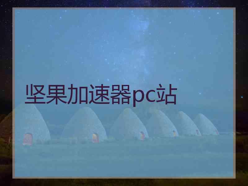 坚果加速器pc站