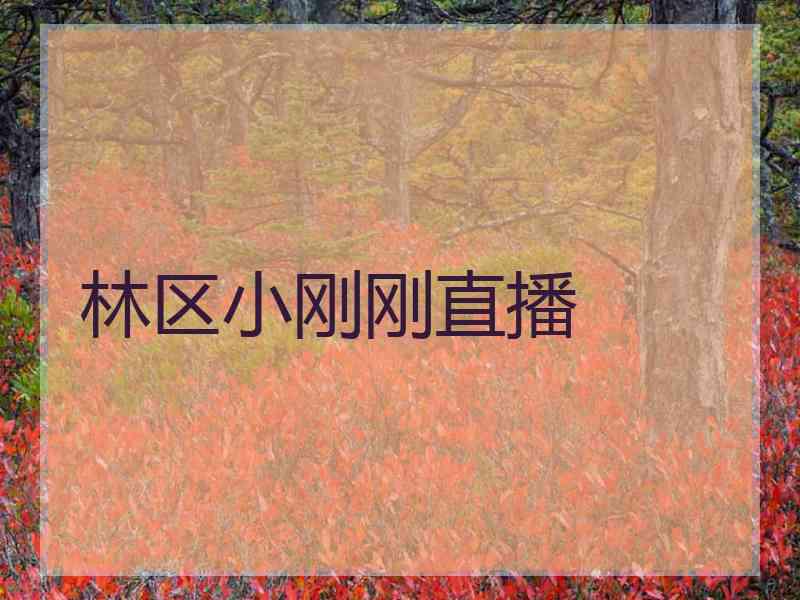 林区小刚刚直播
