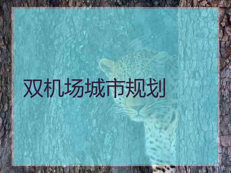 双机场城市规划