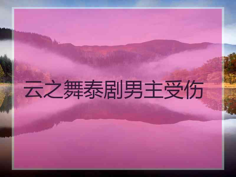 云之舞泰剧男主受伤