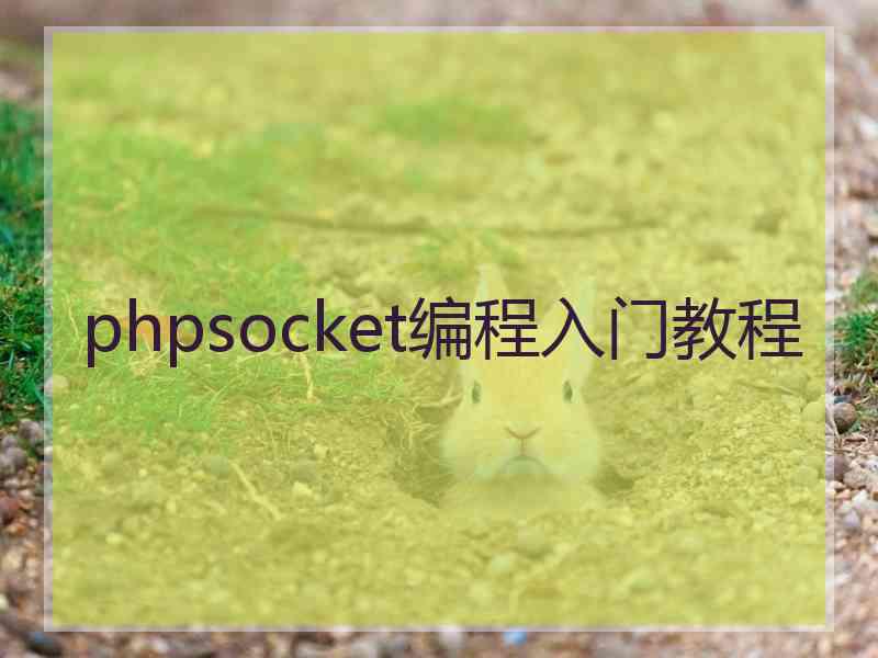 phpsocket编程入门教程