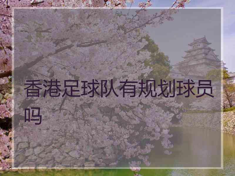 香港足球队有规划球员吗