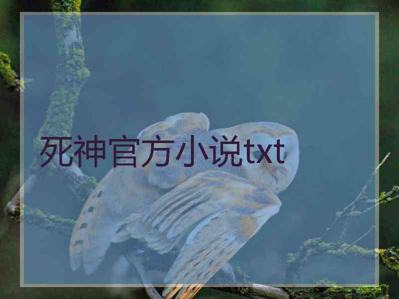 死神官方小说txt