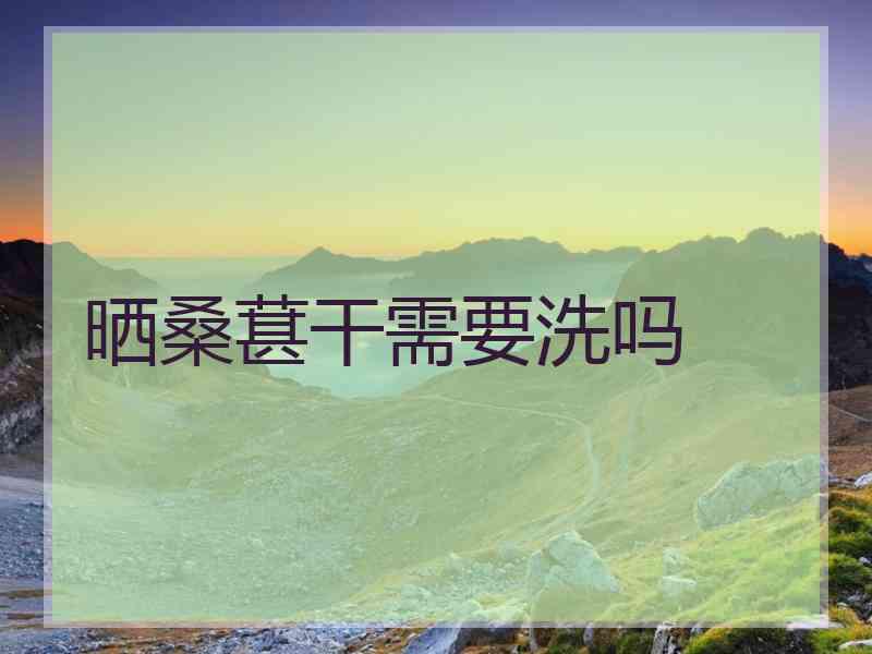 晒桑葚干需要洗吗