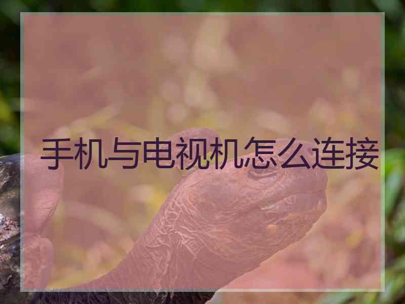 手机与电视机怎么连接