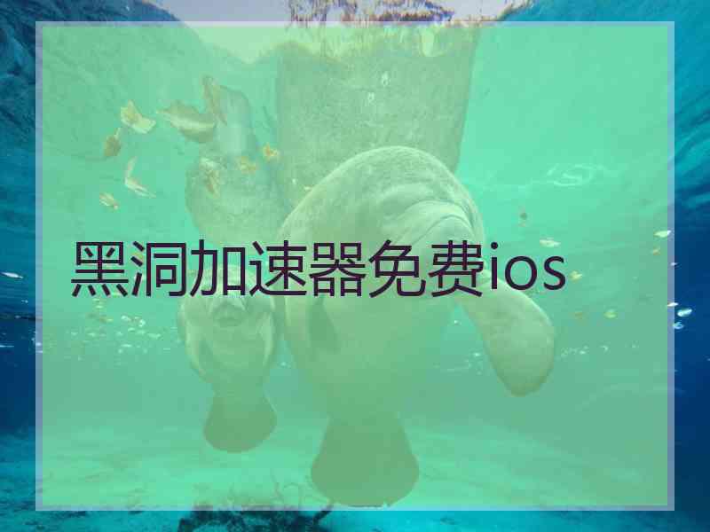 黑洞加速器免费ios
